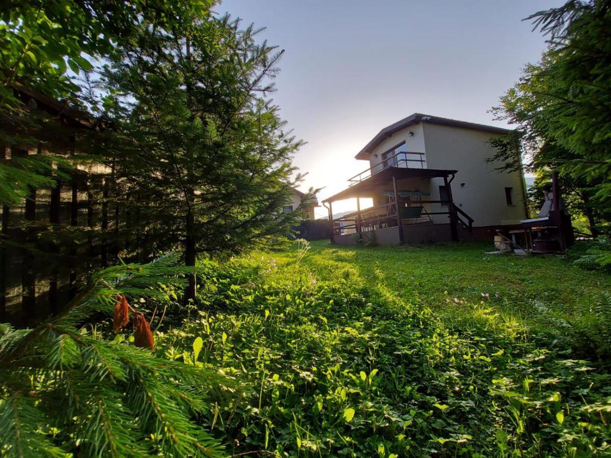 Villa C House Buşteni Exterior foto